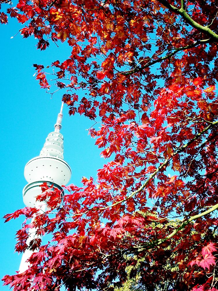 Im Park "Planten un Blomen".