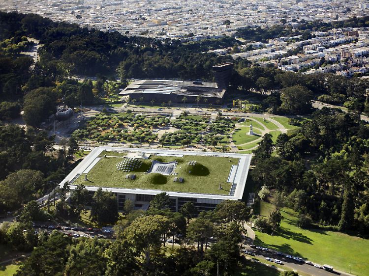 Fließend passt sich die "California Academy of Sciences" ...