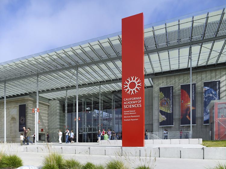 Eingang der "California Academy of Sciences".