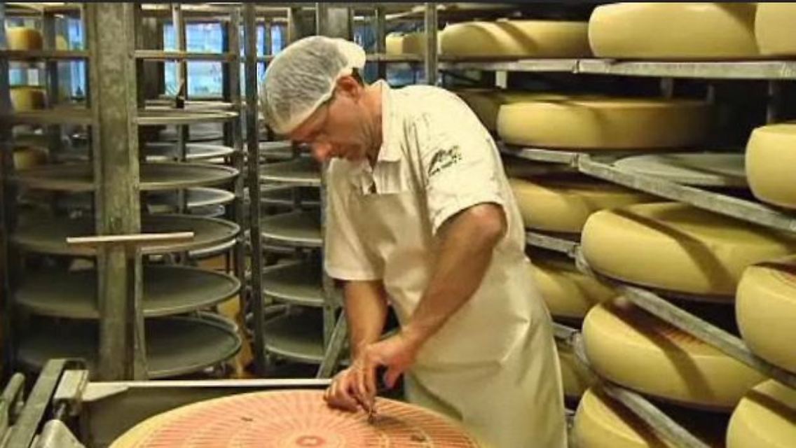 Käse.JPG