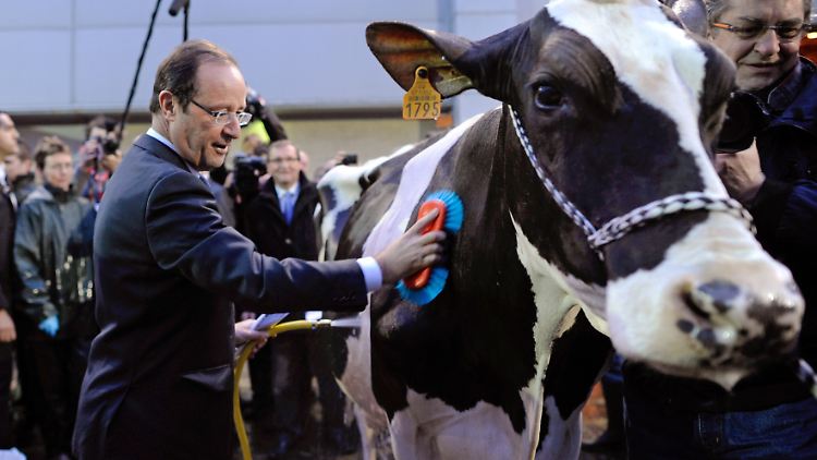 François Hollande zieht die ganze Aufmerksamkeit auf sich.