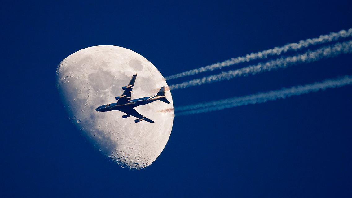 29226920.jpg