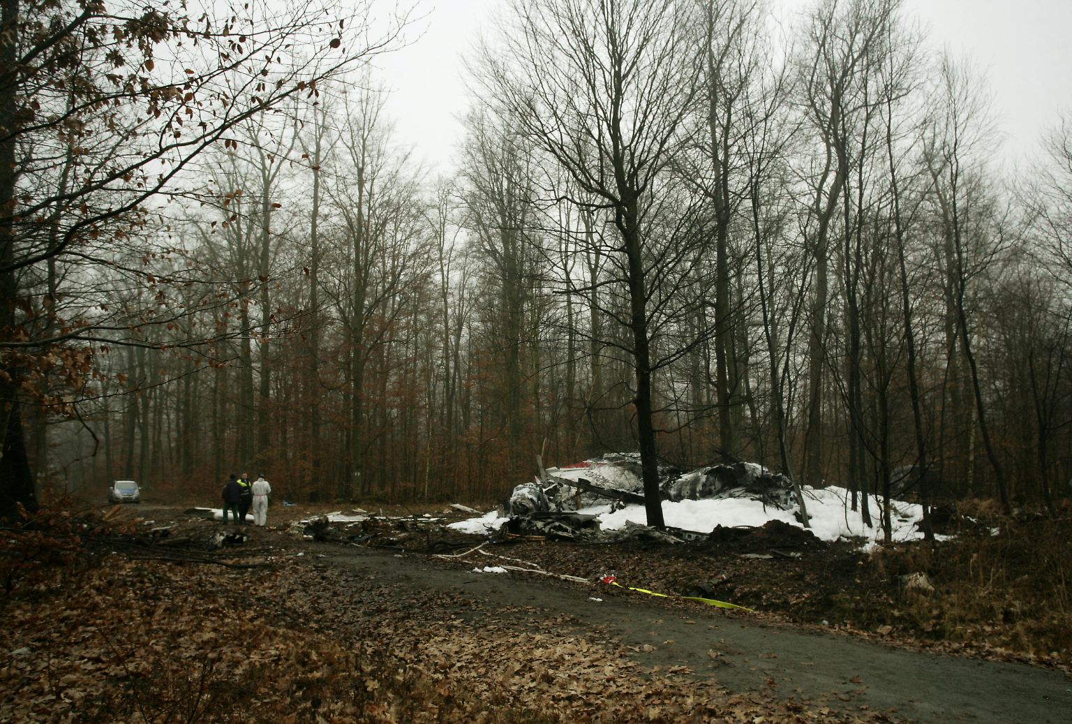 Der Wald bei Egelsbach im Landkreis Offenbach. Am Morgen nach dem Absturz liegt Nebel über den kahlen Ästen.