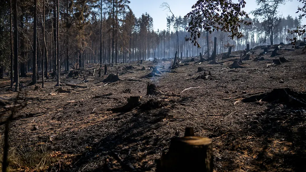 Das-Feuer-auf-der-Saalfelder-Hoehe-im-Landkreis-Saalfeld-Rudolstadt-gilt-als-groesster-Waldbrand-in-Thueringen-seit-mindestens-30-Jahren-die-Linke-Fraktion-moechte-nun-in-einem-Landtagsausschuss-untersuchen-welche-Lehren-aus-dem-Einsatz-gezogen-werden-koennen