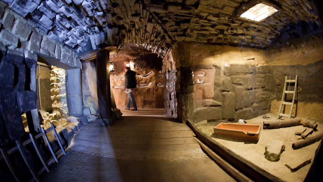 Blick auf ein künstlich angelegtes Rattengehege im neuen unterirdischen Zoobereich im Osnabrücker Zoo.