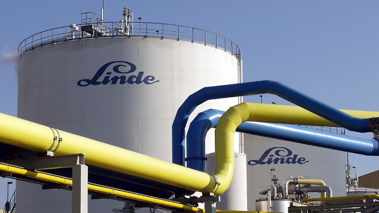 Mit im Korb vertreten: Linde