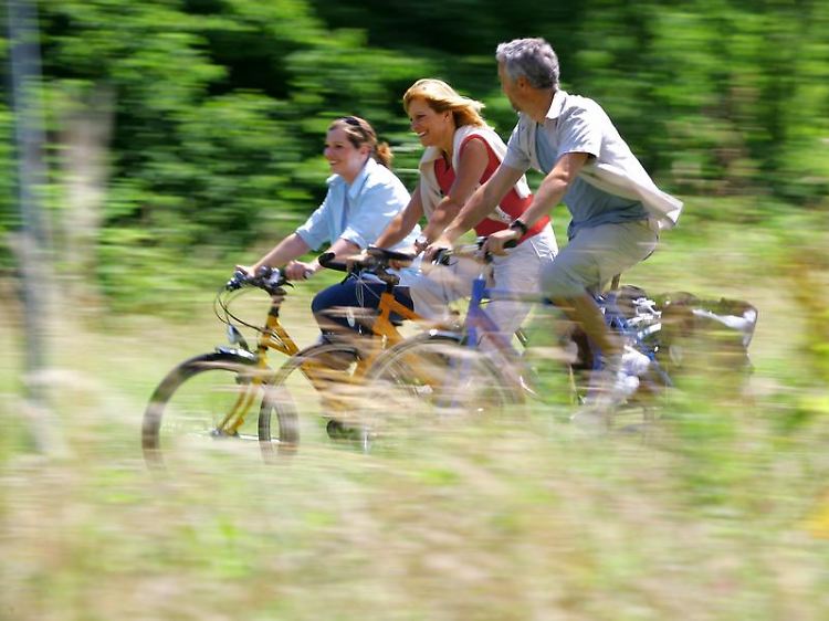 Bayern, Mecklenburg-Vorpommern und Brandenburg sind nach der neuen "Radreiseanalyse" die beliebtesten Regionen für den Urlaub auf zwei Rädern.