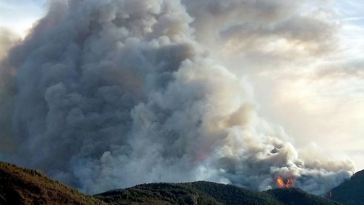 Weitere Folge der Trockenheit: In den Pyrenäen kommt es zu verheerenden Waldbränden.