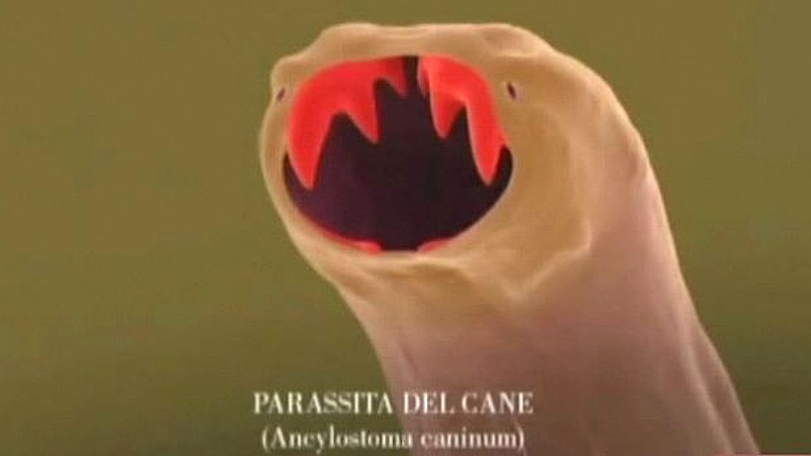 Italien.jpg