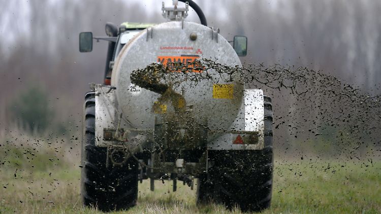 Ein Landwirt bringt Gülle auf einem Feld aus.
