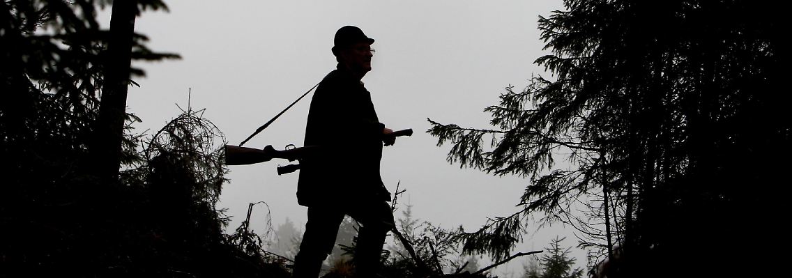 Die DDR-Führung hielt sich extra Wild für die Jagd.