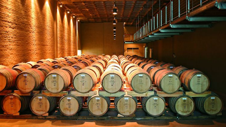 Das Weingut macht seine Türen auf: Besucher dürfen bei einer Kellertour hinter die Kulissen der modernen Weinproduktion gucken.