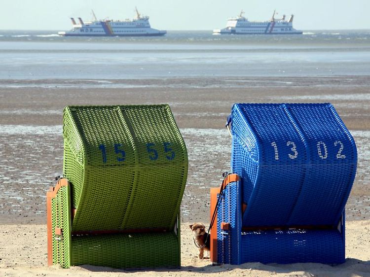 Strandkörbe auf der Insel Föhr im schleswig-holsteinischen Wattenmeer.
