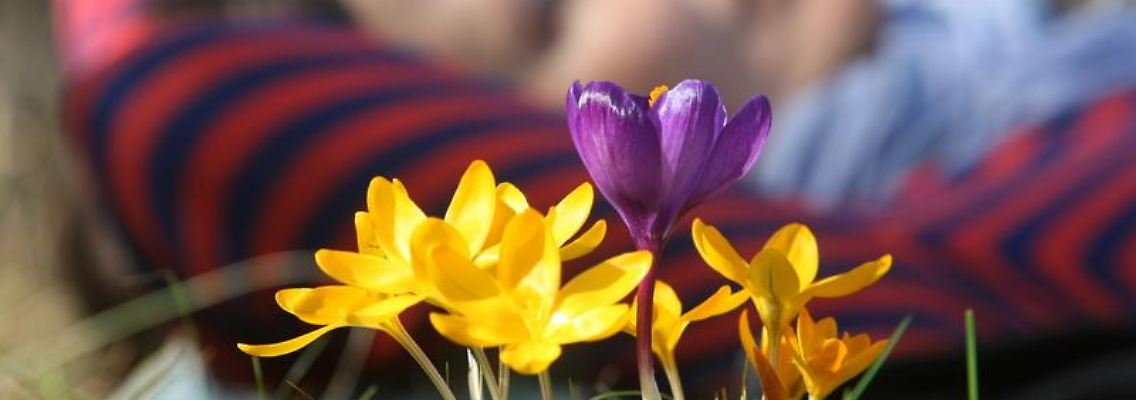 Nicht jeder kann die plötzlich frühlingshaften Temperaturen genießen. Vielen Wetterfühligen setzt der heftige Umschwung zu.