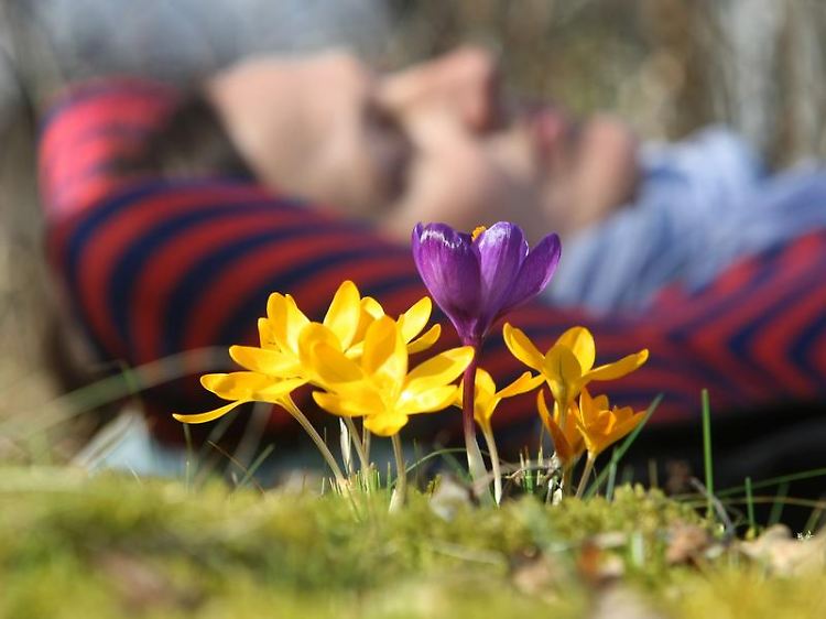 Nicht jeder kann die plötzlich frühlingshaften Temperaturen genießen. Vielen Wetterfühligen setzt der heftige Umschwung zu.