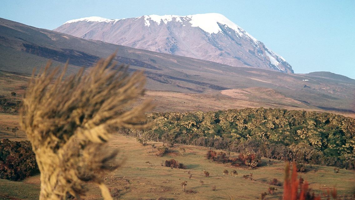 Blick auf den Südwesthang des Kilimandscharos mit dem schneebedeckten Kibo-Gipfel: Schon in 20 Jahren könnte der Kilimandscharo durch den Klimawandel seine charakteristische Gletscherkrone verlieren.