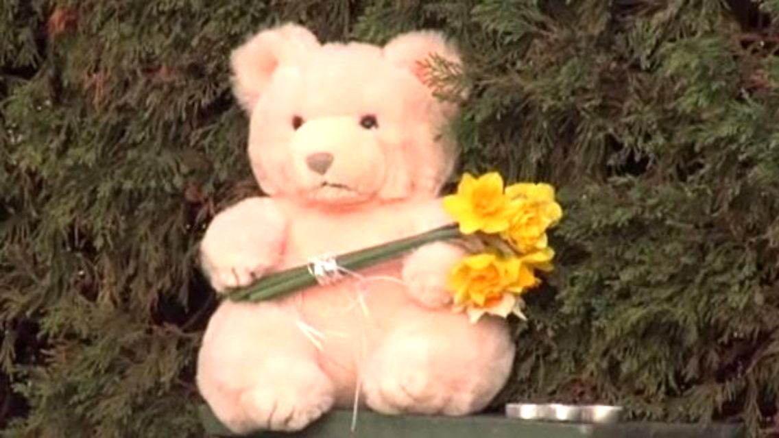 Teddy.jpg