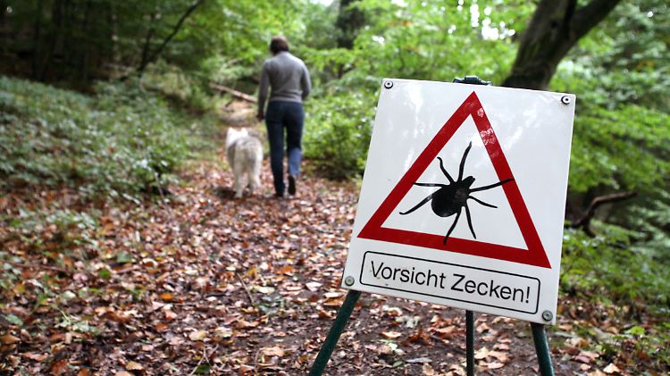 Jede zweite FSME-Erkrankung wird aus Baden-Württemberg gemeldet. Doch auch auf Rügen machen Schilder auf die Zeckengefahr aufmerksam.