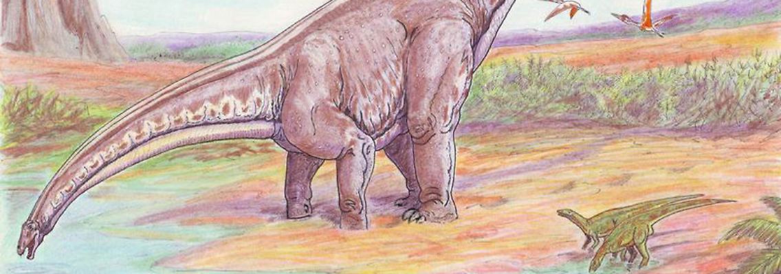 Das Bild zeigt einen Brontosaurus, der offenbar ein Nachfahre von Aardonyx celestae war.