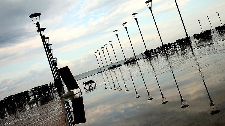 Am Strand von Batumi.