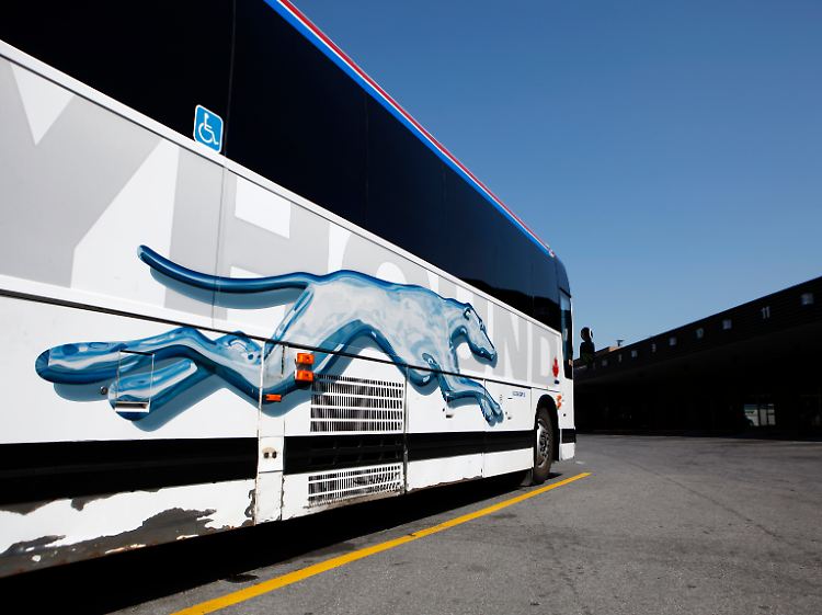 Nach dem Vorbild der US-Überlandlinie "Greyhound" sollen künftig auch hierzulande private Fernbuslinien möglich werden.