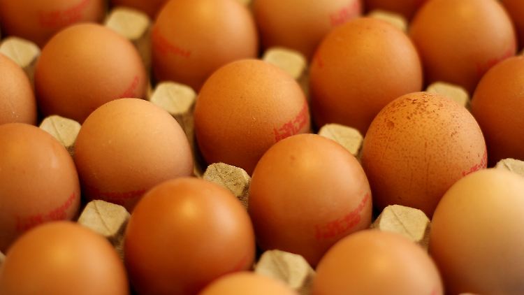 Zum Färben scheint sie eher ungeeignet: die braune Bio-Variante.