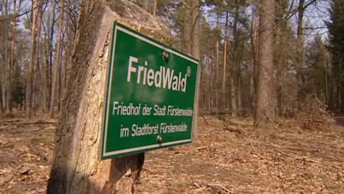 friedwald.JPG