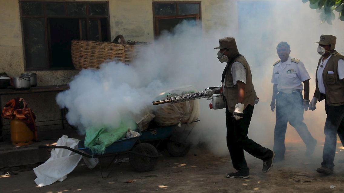 Kampf gegen Dengue-Fieber in Bolivien: Mückennester werden ausgeräuchert. (Archivbild von März 2009)