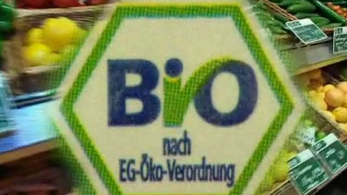 Bio.jpg