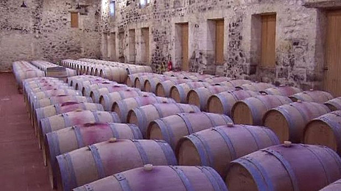 Wein.jpg