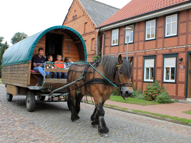 Rosi zieht ihren Wagen über Landstraßen, vorbei an Wiesen und Gehöften und durch kleine Dörfer mit nur wenigen Häusern.