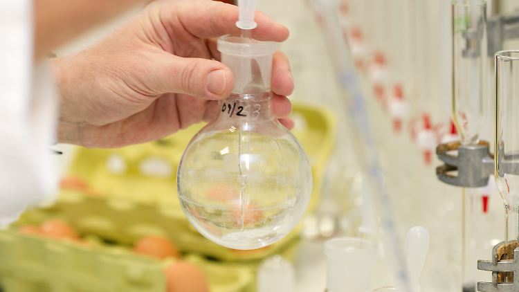 Hier werden Hühnereier auf Dioxin untersucht.