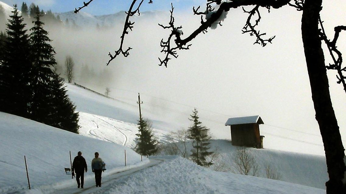 Verschneite Landschaft im Alpbachtal in Tirol.