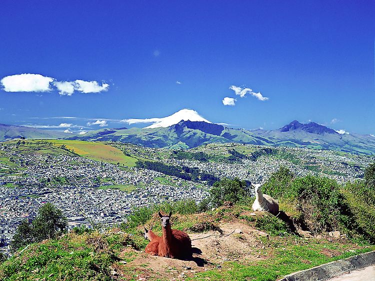 Eine Stadt ganz oben: Quito liegt in den Anden auf deutlich mehr als 2000 Metern Höhe.