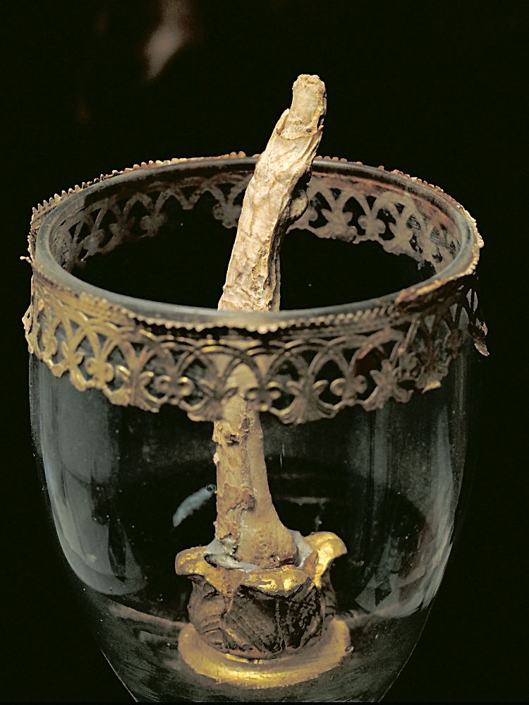 Der Mittelfinger Galileos in einem Glas: Nun will das Florentiner "Museum für die Geschichte der Wissenschaft" zwei weitere Finder und einen Zahn wiedergefunden haben.