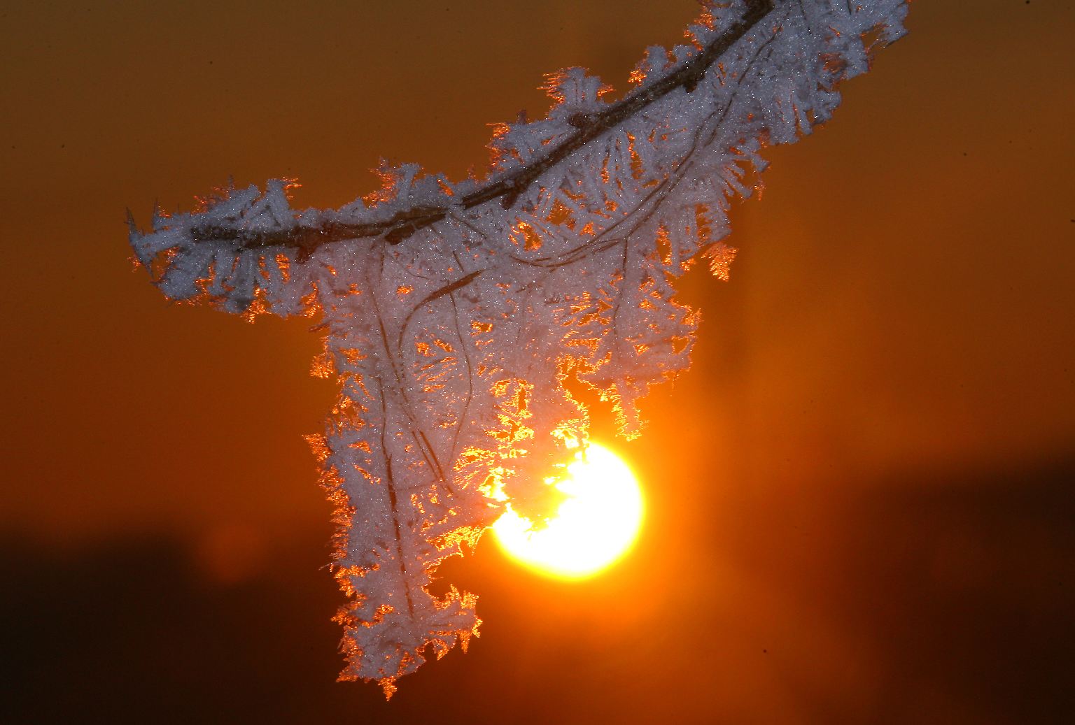 Schneekristalle faszinieren.