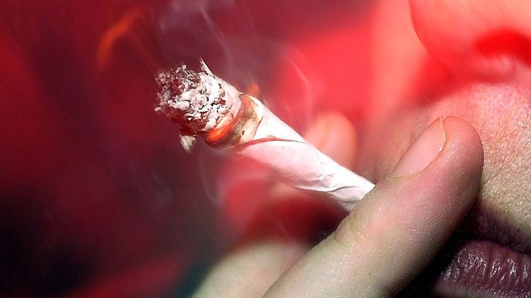 Der Großteil der Drogen, die die Fahnder beschlagnahmten, stammt aus Pakistan.