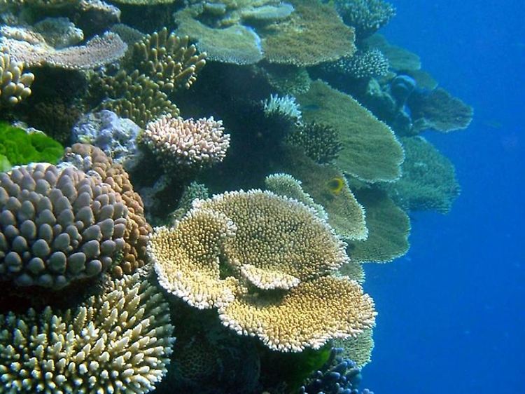 ... hält noch viele Geheimnisse für den Menschen bereit.