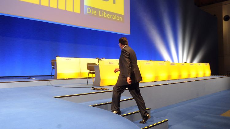 Döring muss eingestehen: Mit den Finanzen der Partei steht es nicht zum Besten.