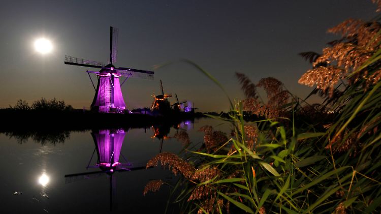 Lichtspiele mit Schilf, LED und Windmühle.