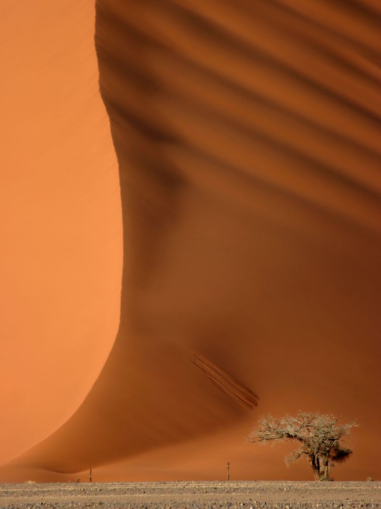 Karge Landschaft: Der Dorob-Nationalpark bietet Besuchern dennoch einmalige Naturschauspiele.