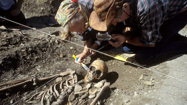 Dank der Knochenfunde konnten Genanalysen gemacht werden. 
