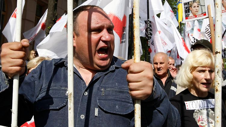 Timoschenko-Anhänger demonstrieren in Kiew.