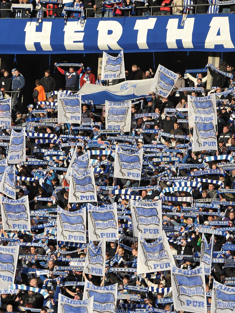 Sie sollen's richten: Fans der Hertha aus Berlin.