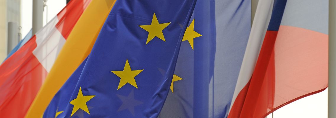 Der "Lissabon-Vertrag" erweitert die Zuständigkeiten der EU mit ihren derzeit 27 Mitgliedstaaten.