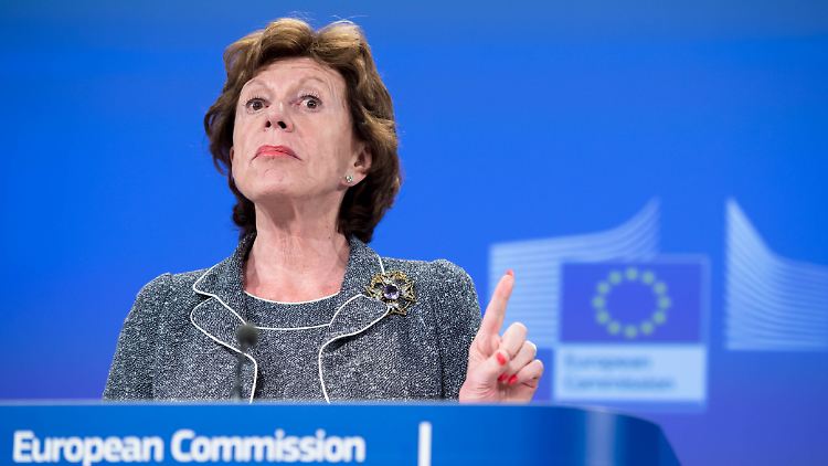 Frau Kroes soll die politische Realität beobachtet haben.