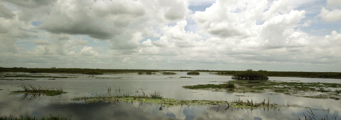 Blick in das weitläufige Sumpfgebiet im Süden Floridas: die Everglades.