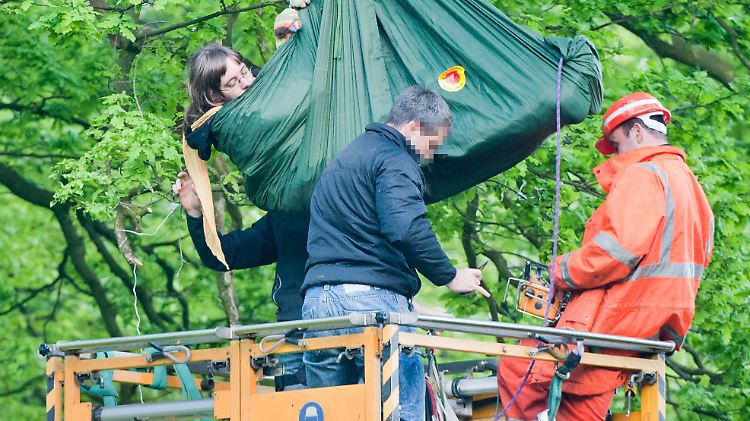 Hubwagen werden benötigt, um die Aktivisten von den Bäumen zu holen.