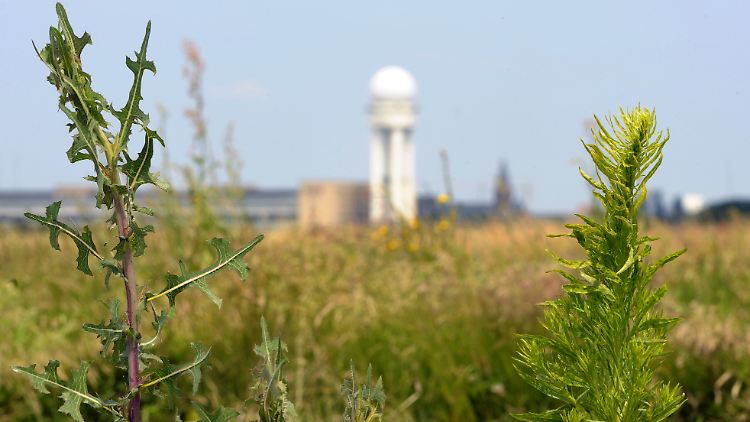In Berlin soll der geschlossene Flughafen Tempelhof für Frischluft sorgen.