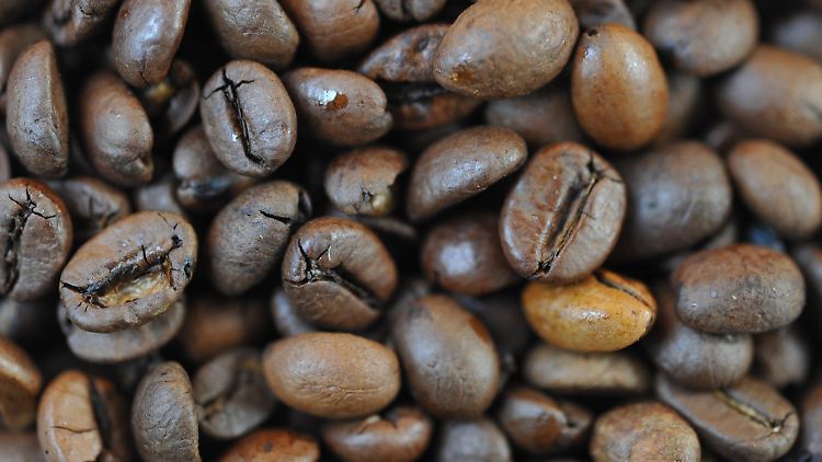 Zack, die Bohne: In Honduras boomt das Geschäft mit dem Kaffee.